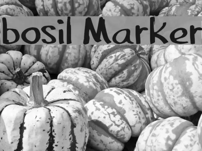 bosil Marker Font examples