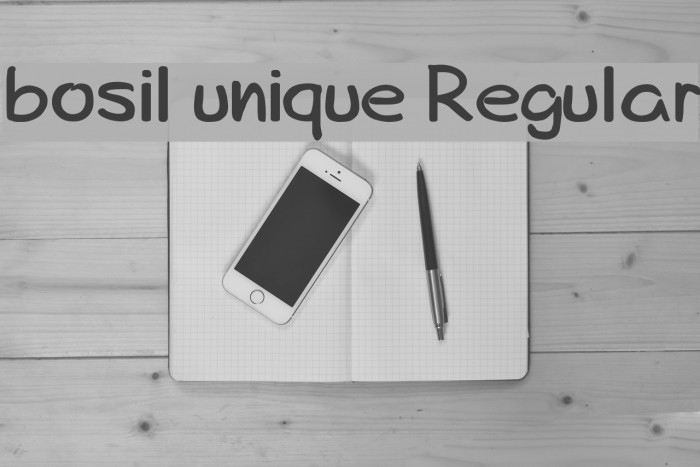 bosil unique Regular Font examples