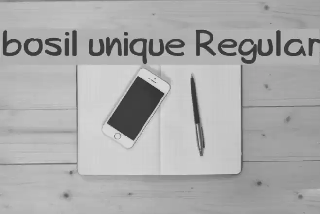 bosil unique Regular Font examples