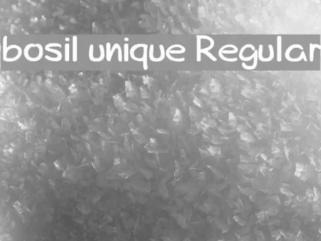 bosil unique Regular Font examples