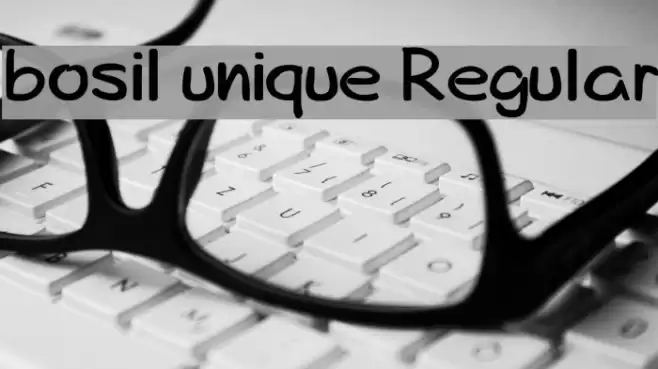 bosil unique Regular Font examples