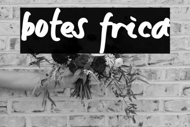 botes frica Font examples