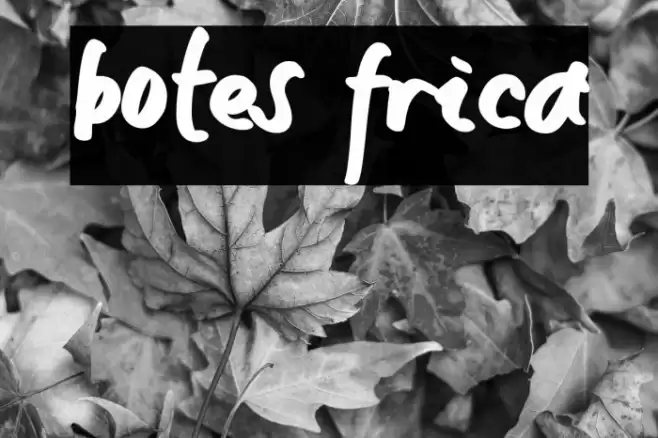 botes frica Font examples