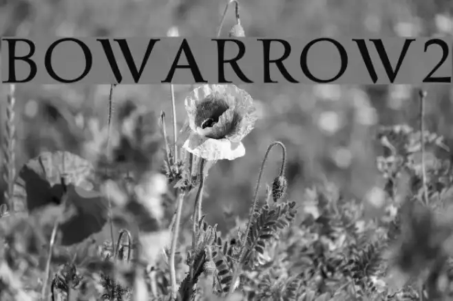 bowarrow2 Example 2