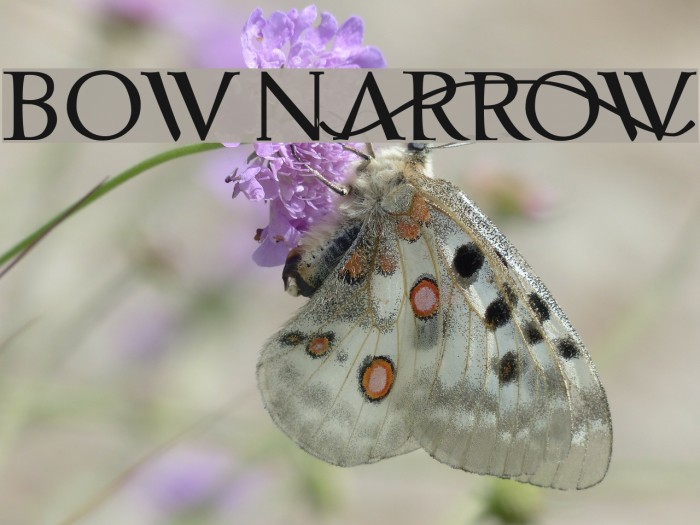 bownARrOW Font examples
