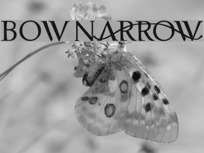 bownARrOW Example 2