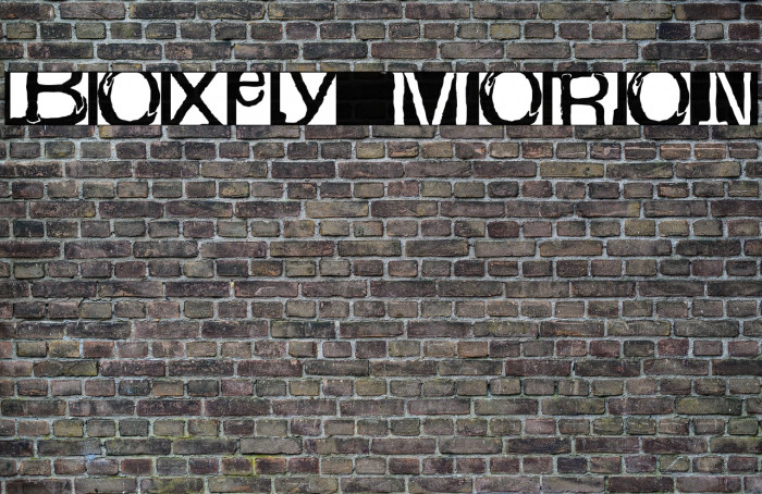 boxey moron Font examples