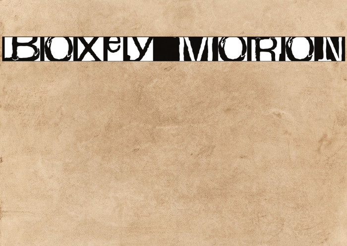 boxey moron Font examples