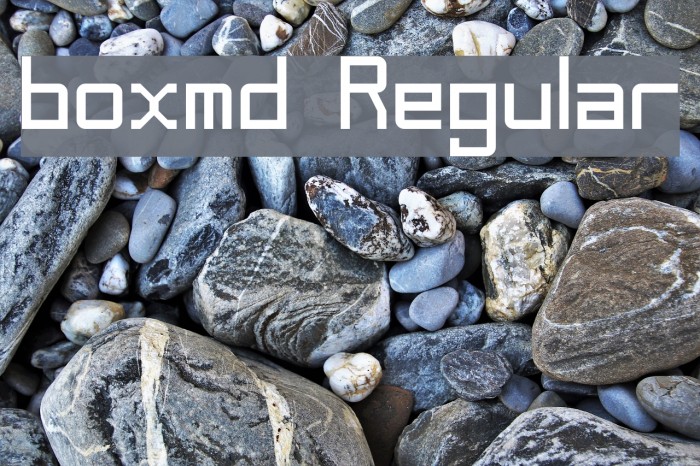 boxmd Regular Example 1