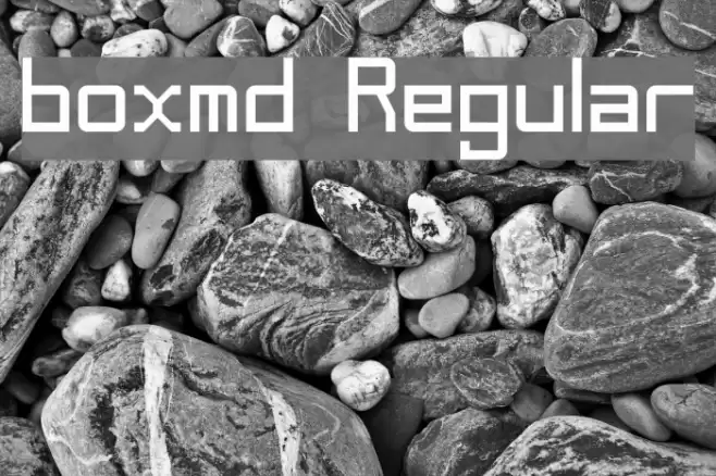 boxmd Regular Font examples