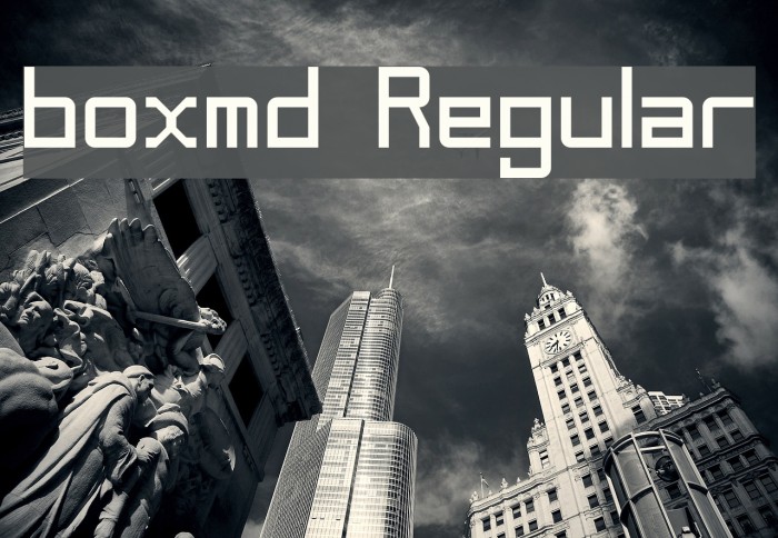 boxmd Regular Example 2