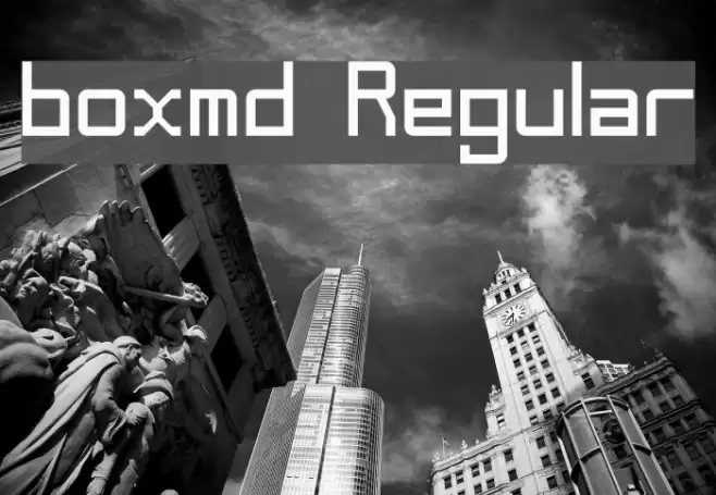 boxmd Regular Font examples