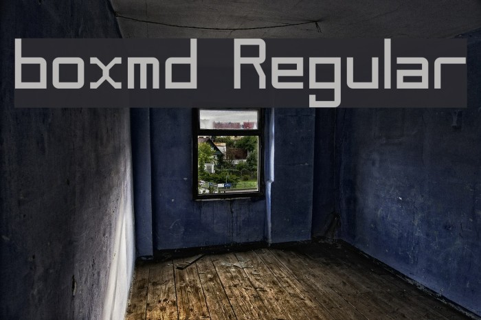 boxmd Regular Example 3