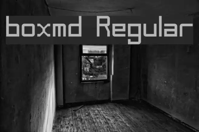 boxmd Regular Font examples