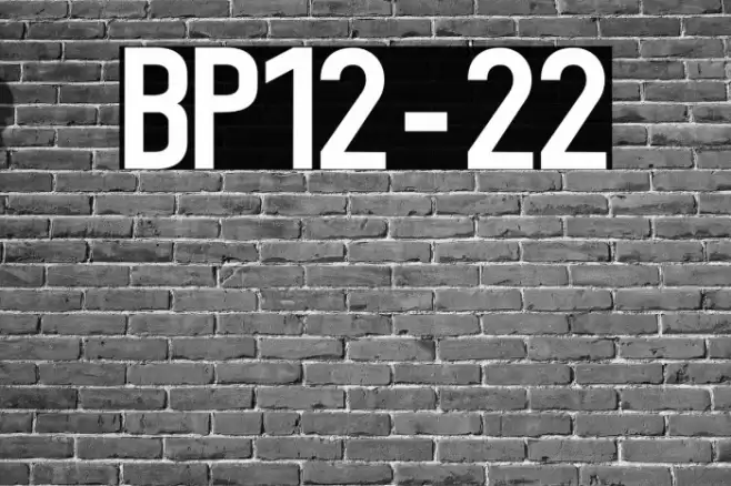BP12-22 Font examples