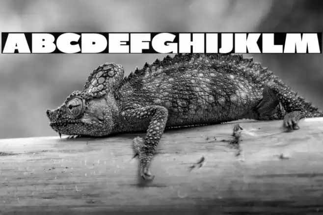 BPDiet-UltraBlack Font examples