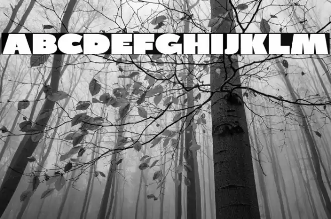 BPDiet-UltraBlack Font examples