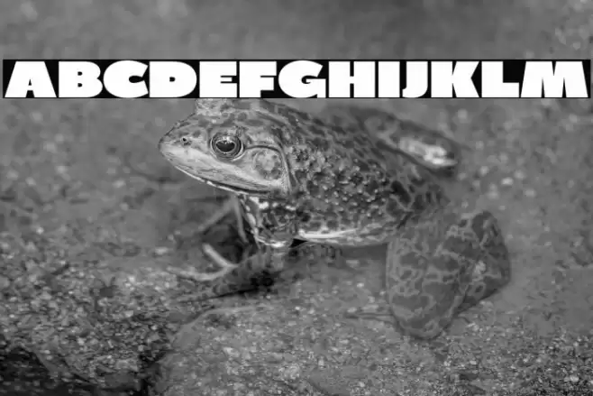 BPDiet-UltraBlack Font examples