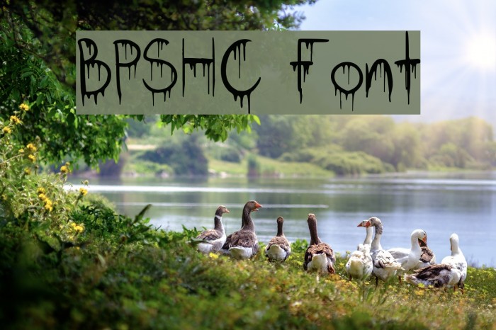 BPSHC Font examples