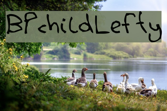 BPchildLefty Font examples