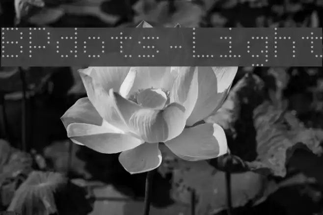 BPdots-Light Font examples