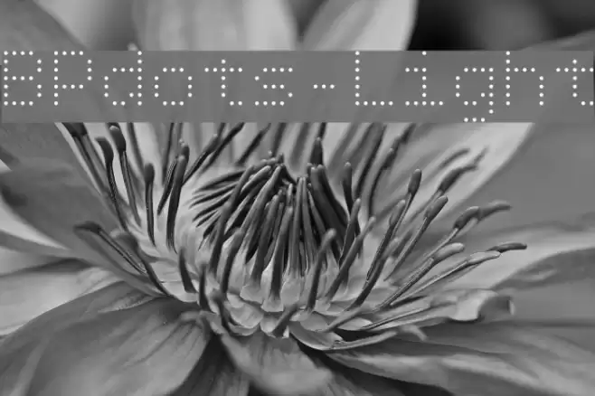 BPdots-Light Font examples