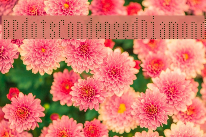 BPdotsCondensedDiamond Font examples