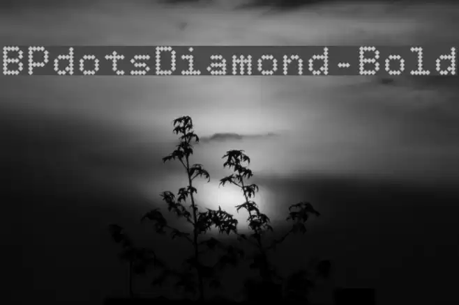 BPdotsDiamond-Bold Font examples