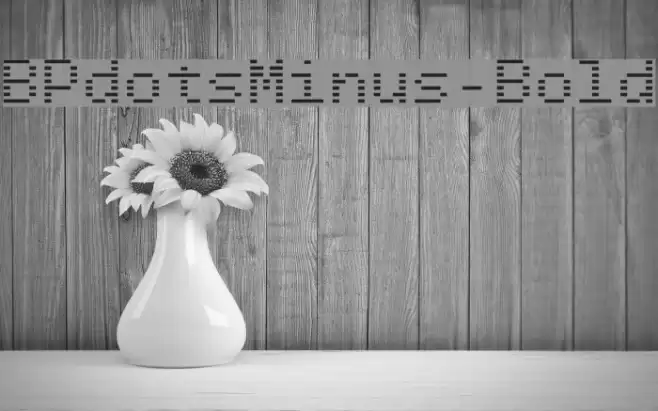BPdotsMinus-Bold Font examples