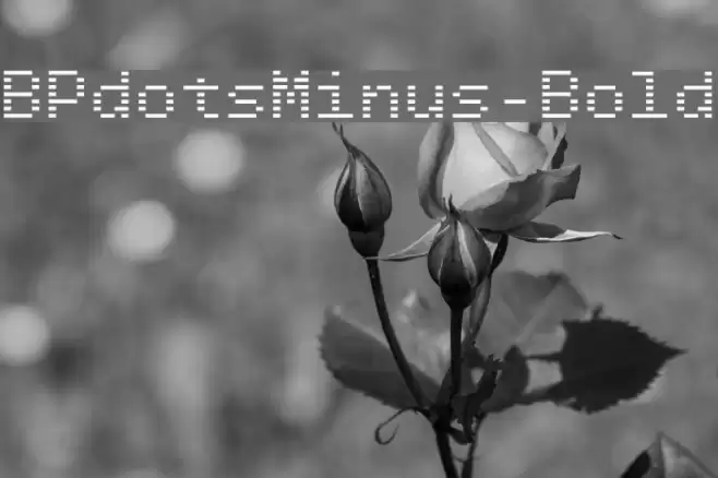 BPdotsMinus-Bold Font examples