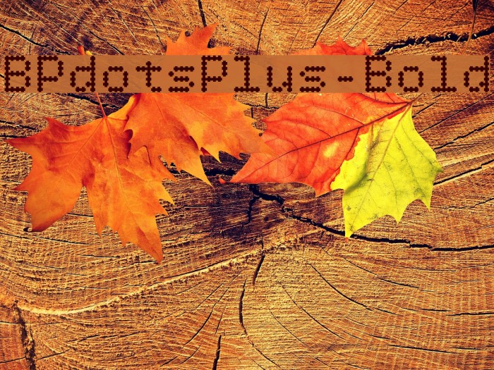 BPdotsPlus-Bold Font examples