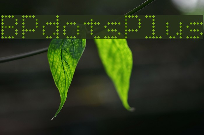 BPdotsPlus Font examples