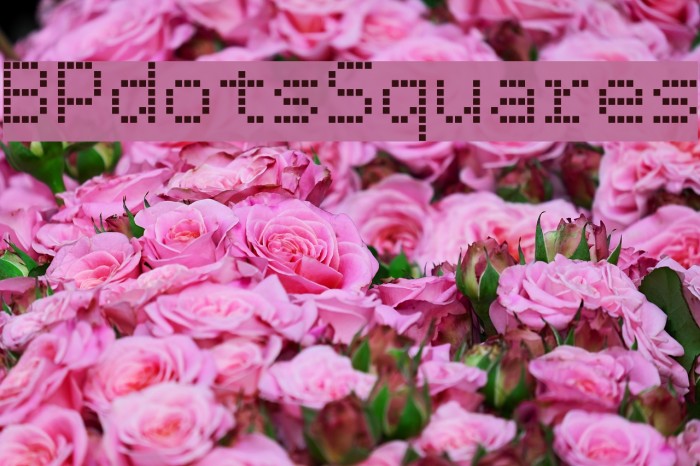 BPdotsSquares Font examples
