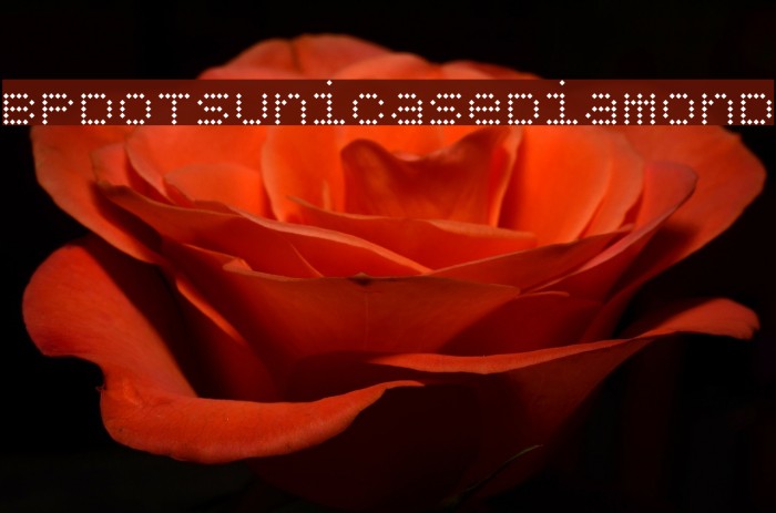 BPdotsUnicaseDiamond Font examples