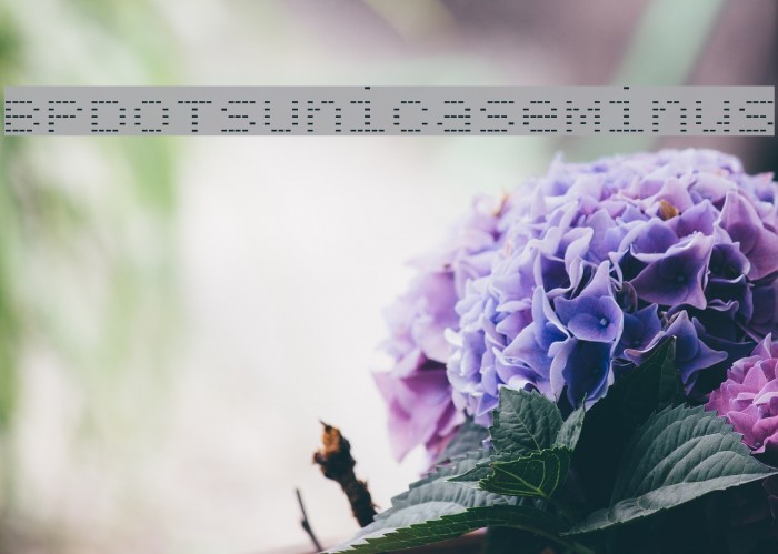 BPdotsUnicaseMinus Font examples