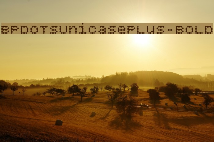 BPdotsUnicasePlus-Bold Font examples