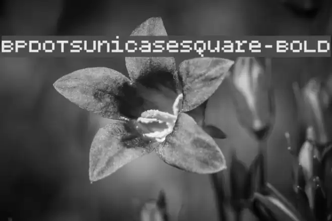 BPdotsUnicaseSquare-Bold Font examples