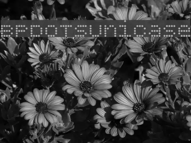 BPdotsUnicase Шрифта examples