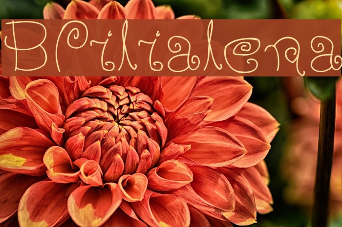 BPilialena Font examples