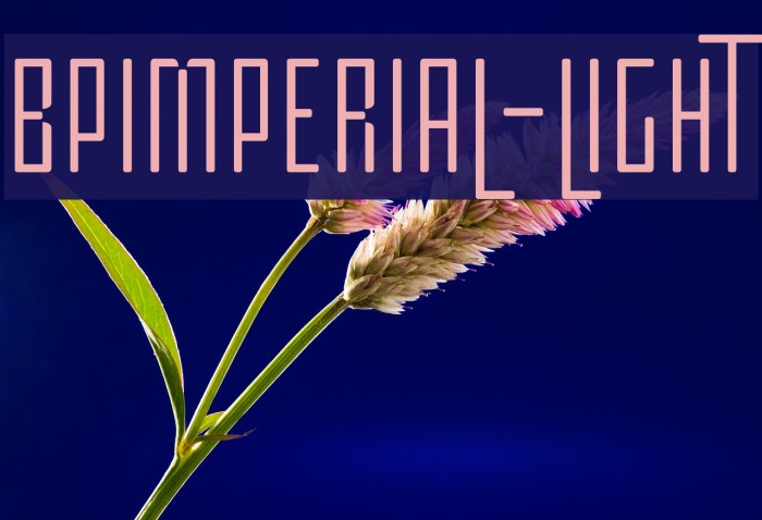 BPimperial-Light Font examples
