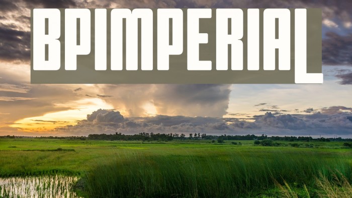 BPimperial Font examples