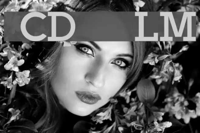 BPlatinNumerals Font examples