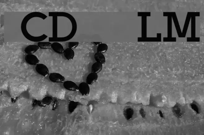 BPlatinNumerals Font examples