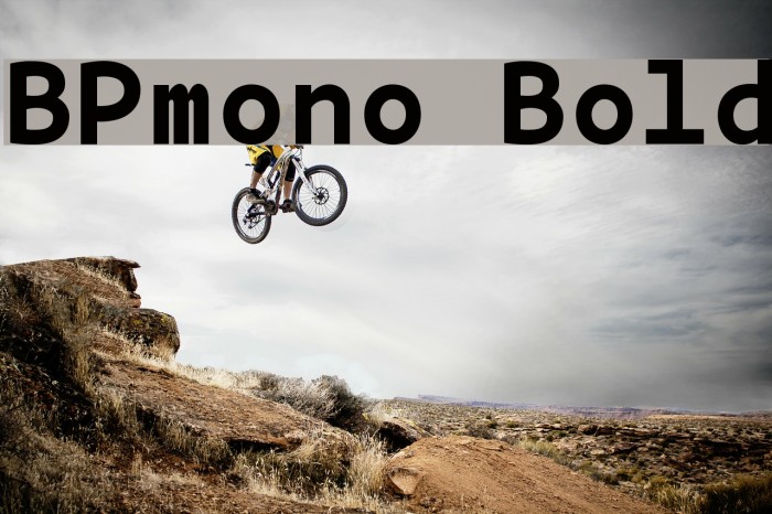 BPmono Bold Schriftart examples
