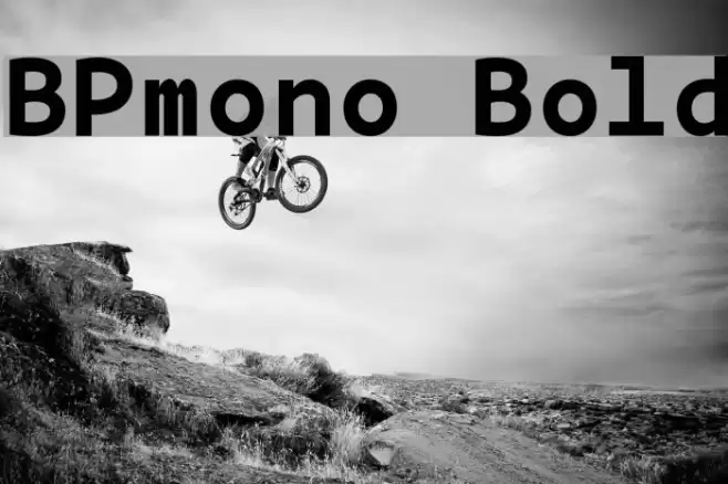 BPmono Bold Font examples