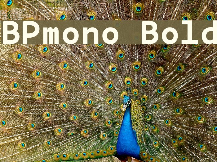 BPmono Bold Schriftart examples
