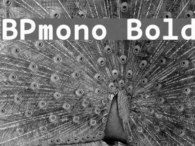 BPmono Bold Font examples