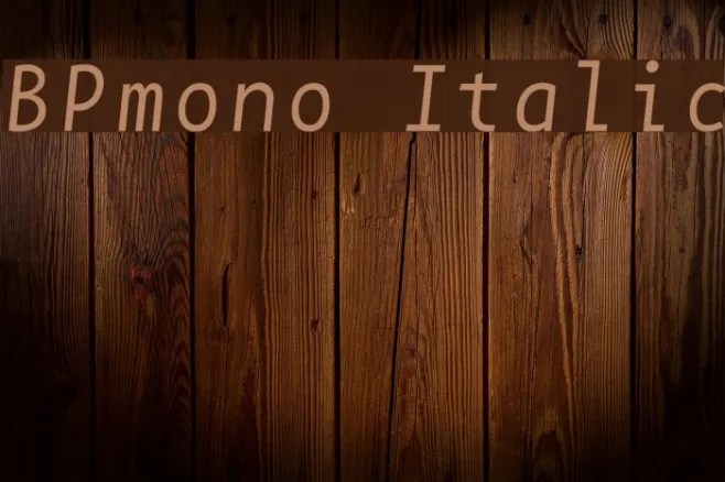 BPmono Italic Example 2