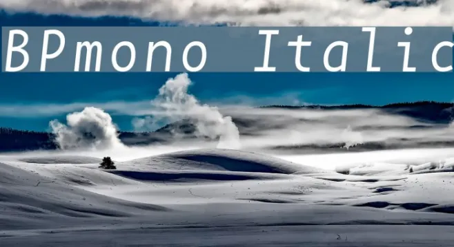 BPmono Italic Example 3