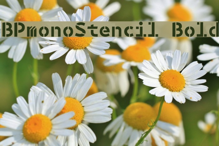 BPmonoStencil Bold Font examples